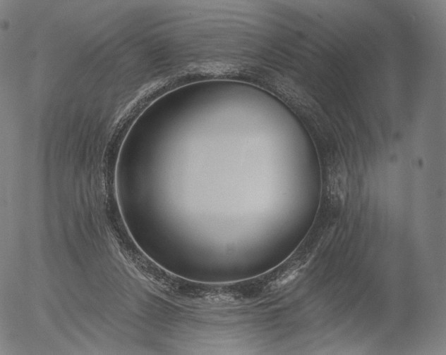 X0000055990256200509021646