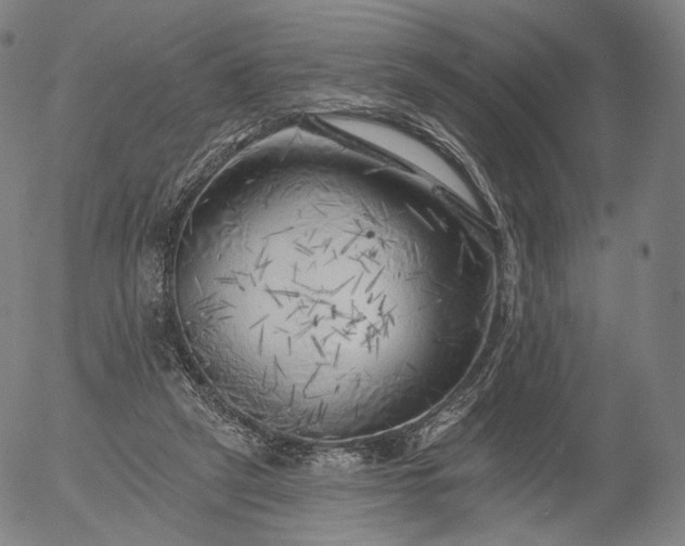 X0000055990257200509021646