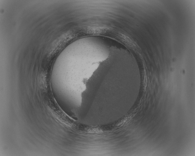 X0000055990258200509021646