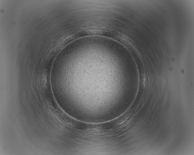 X0000055990259200509021646