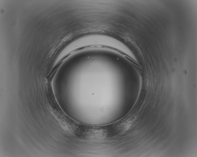 X0000055990260200509021646