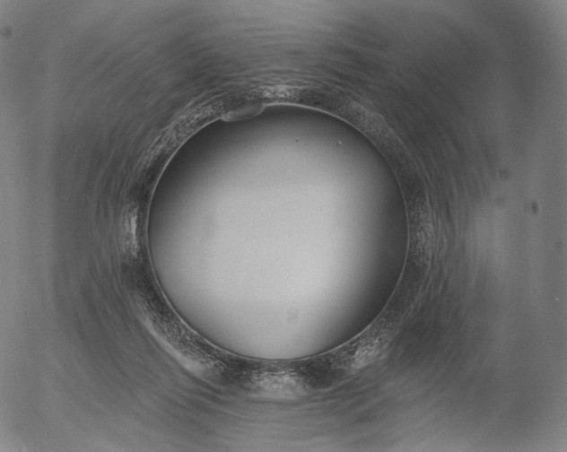 X0000055990262200509021646