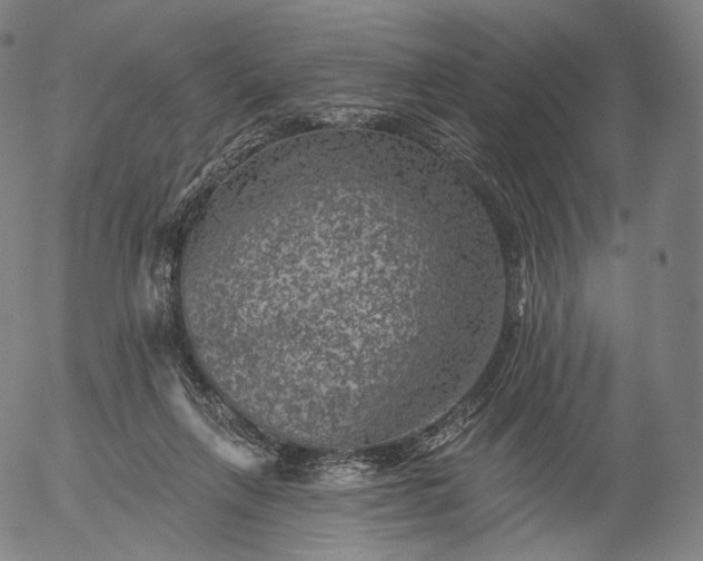 X0000055990263200509021646