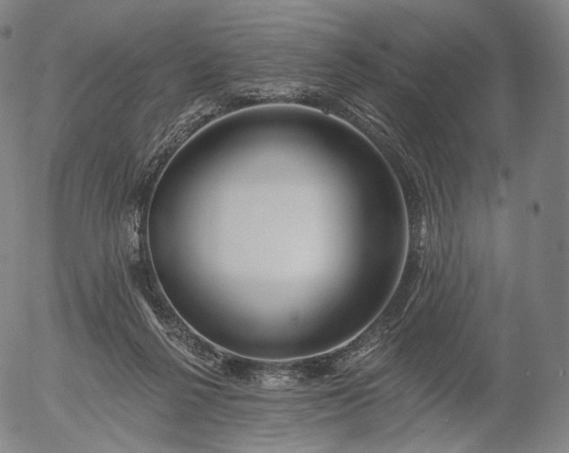 X0000055990264200509021646