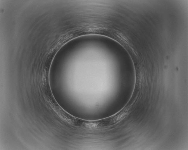 X0000055990265200509021646