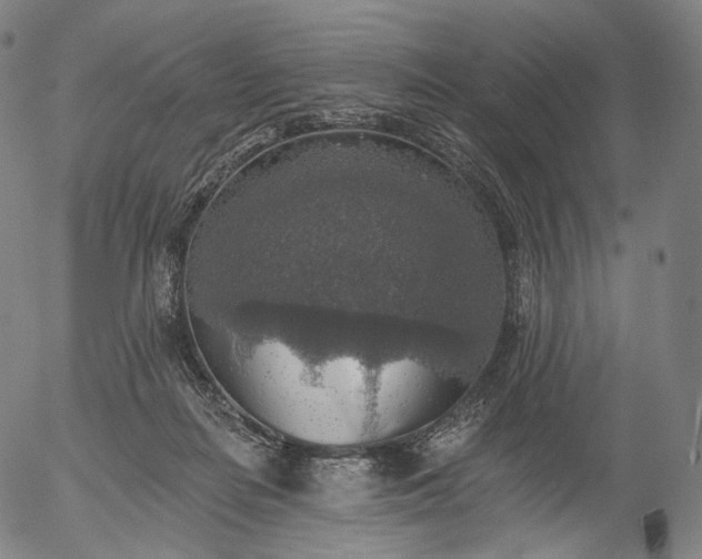 X0000055990266200509021646