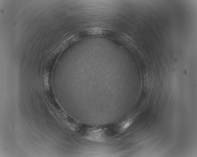 X0000055990267200509021646