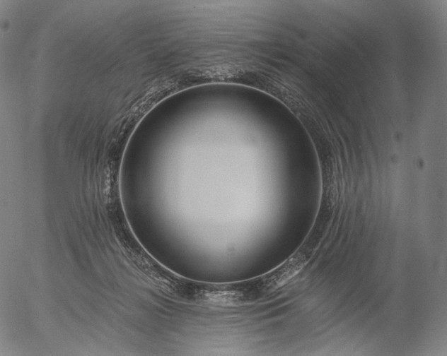 X0000055990268200509021646