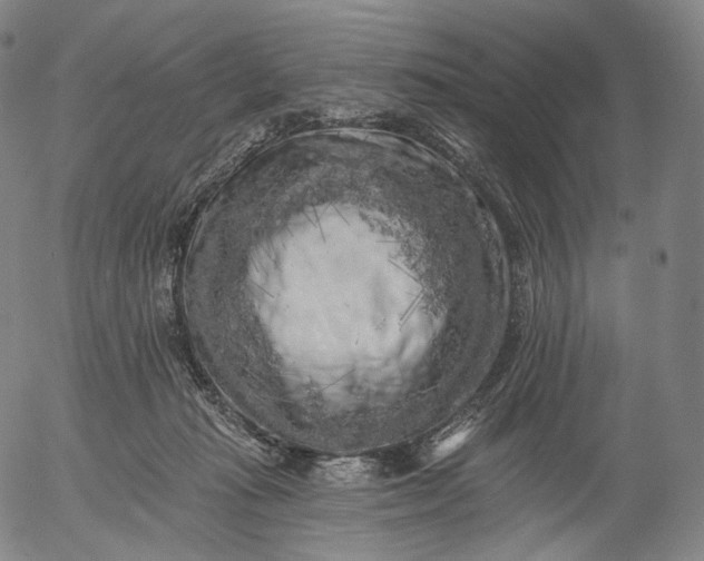 X0000055990269200509021646