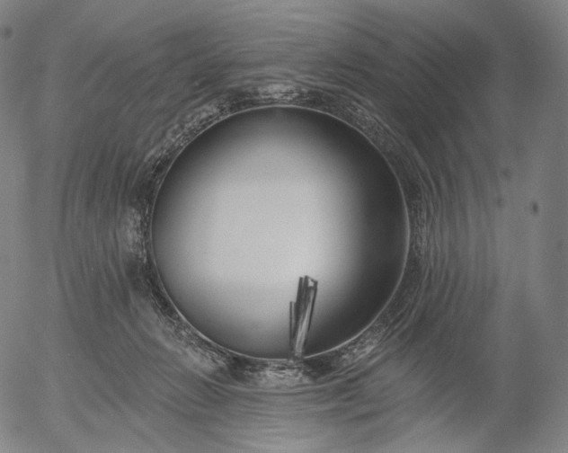 X0000055990270200509021646