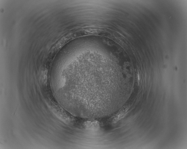 X0000055990271200509021646