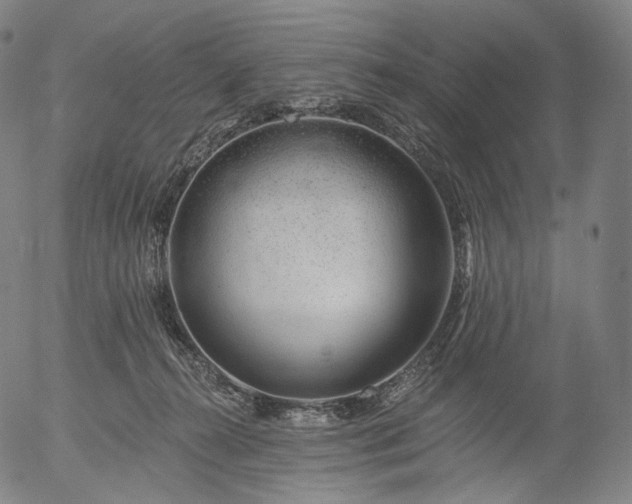 X0000055990272200509021646