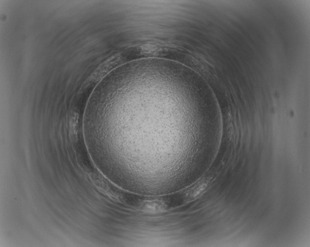 X0000055990275200509021646