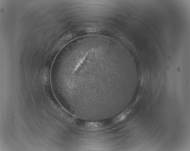 X0000055990277200509021646