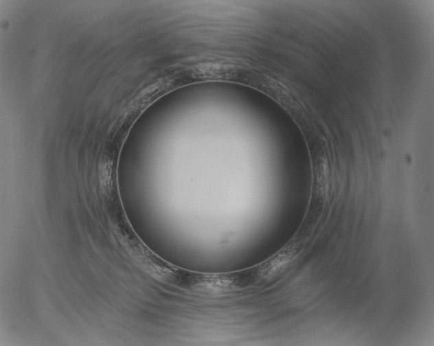 X0000055990278200509021646