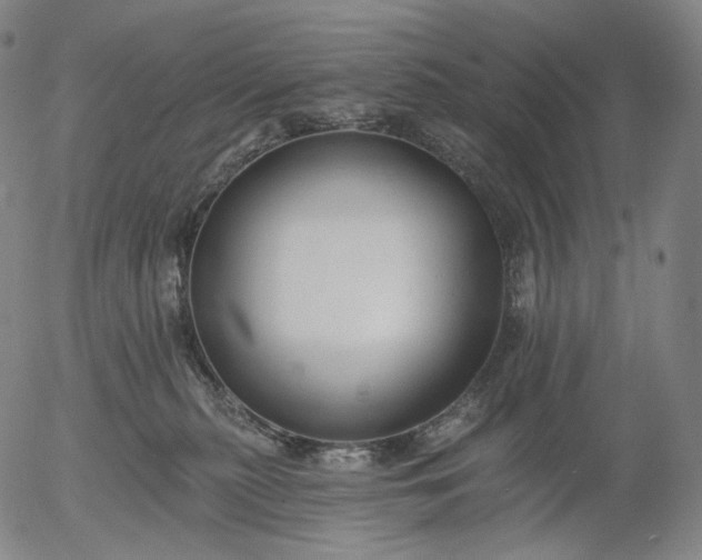 X0000055990279200509021646