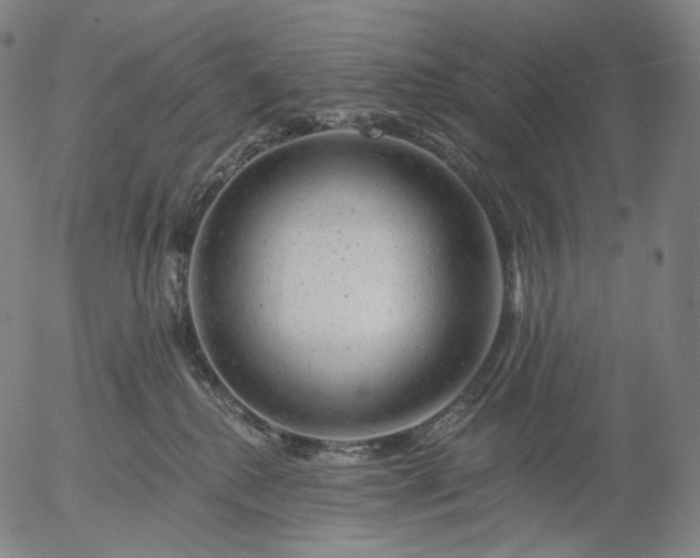 X0000055990280200509021646