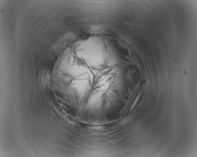 X0000055990281200509021646