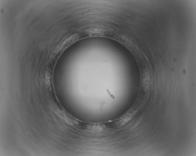 X0000055990282200509021646