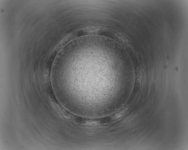 X0000055990283200509021646