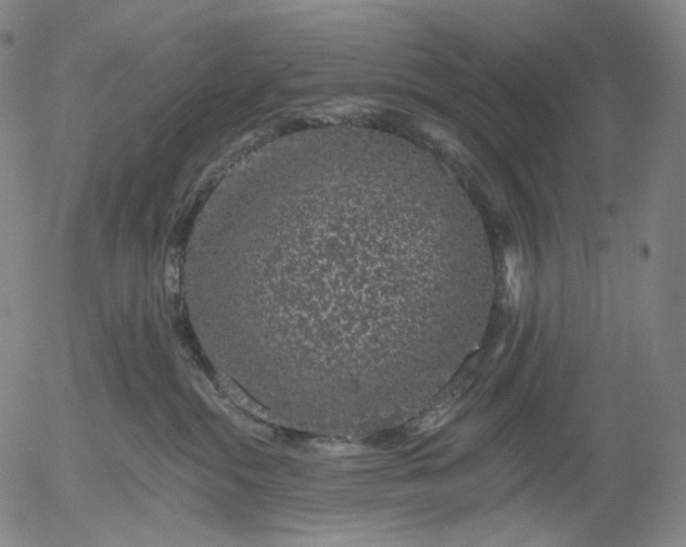 X0000055990284200509021646