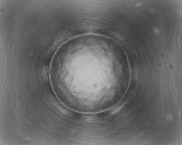 X0000055990286200509021646