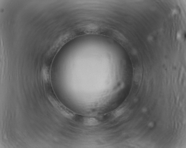 X0000055990287200509021646