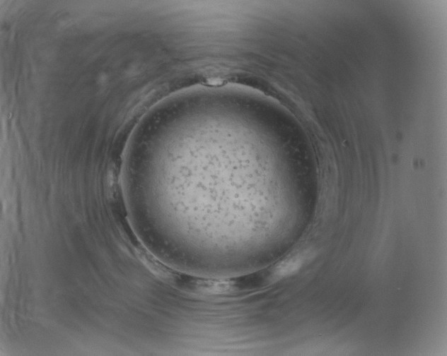 X0000055990288200509021646