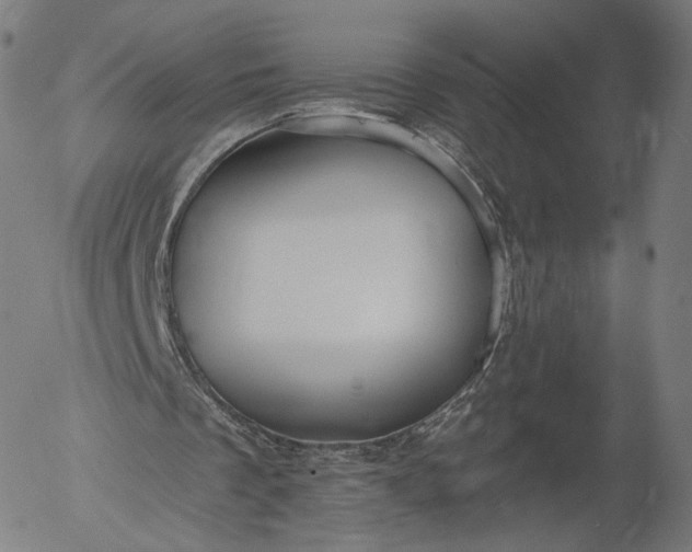 X0000055990289200509021645