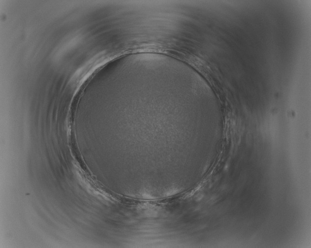 X0000055990290200509021645