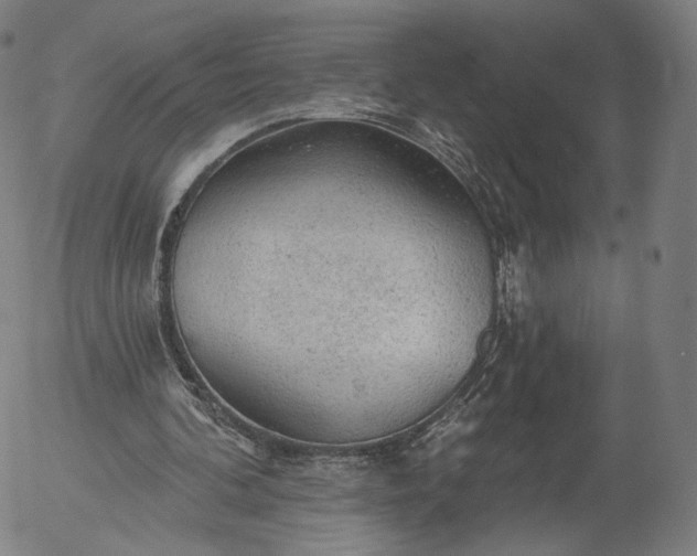 X0000055990292200509021645