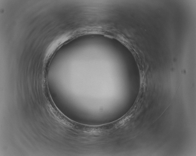 X0000055990293200509021645