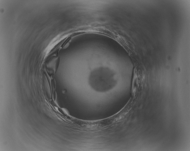 X0000055990295200509021645