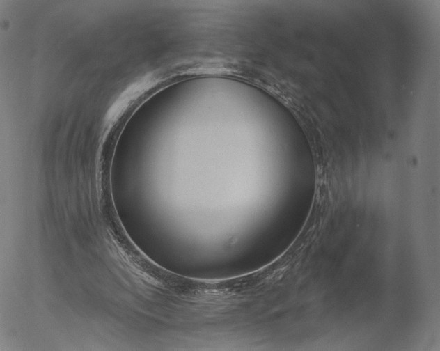 X0000055990296200509021645