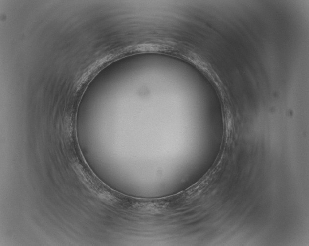 X0000055990297200509021645