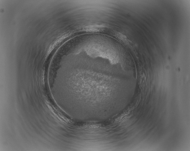 X0000055990299200509021645