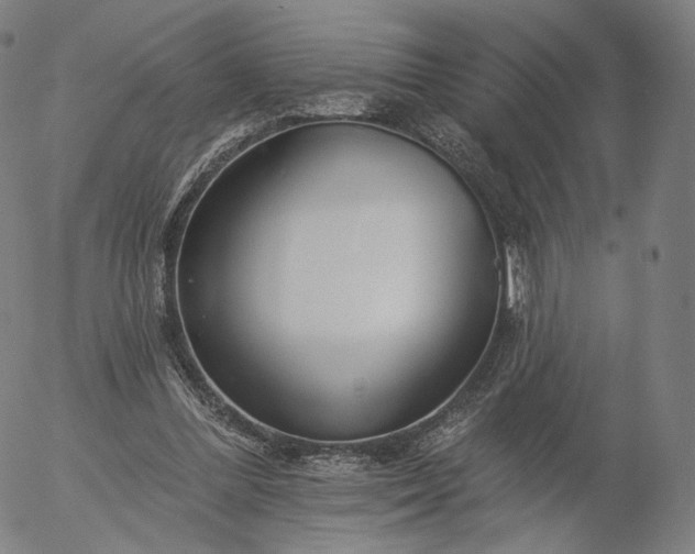 X0000055990300200509021645