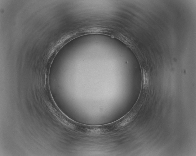 X0000055990301200509021645