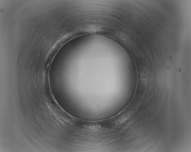 X0000055990304200509021645