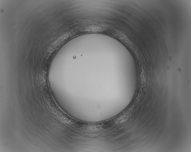 X0000055990305200509021645