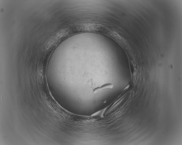 X0000055990306200509021645