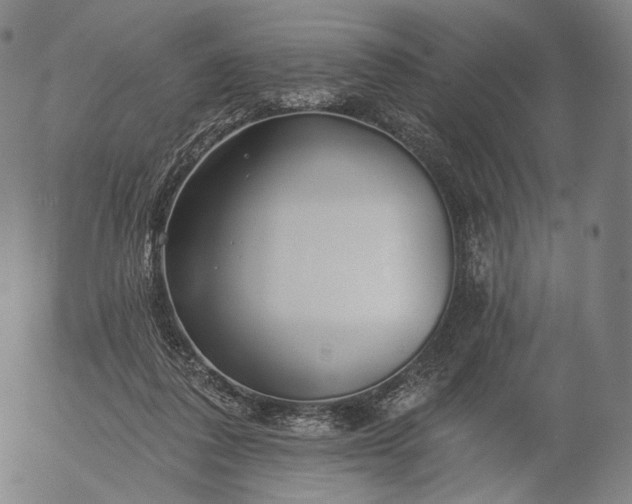 X0000055990308200509021645