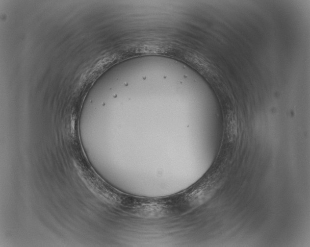 X0000055990310200509021645