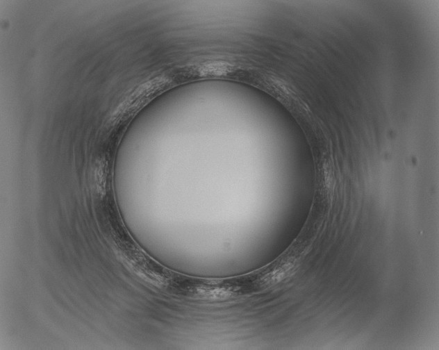 X0000055990311200509021645