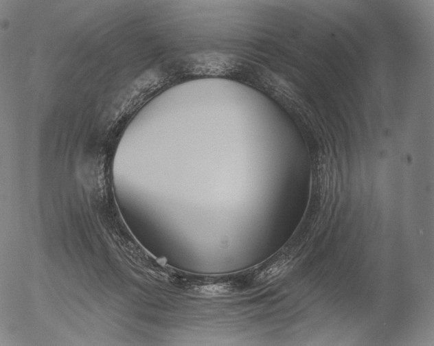 X0000055990312200509021645