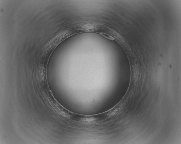 X0000055990313200509021645