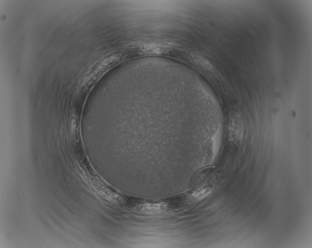 X0000055990314200509021645