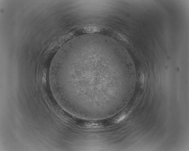 X0000055990315200509021645