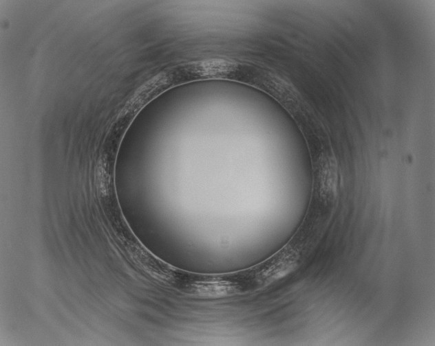 X0000055990316200509021645