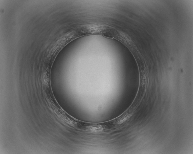 X0000055990317200509021645